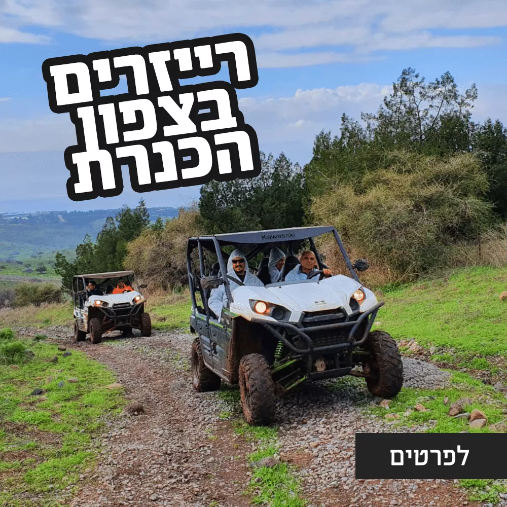 רייזר בצפון